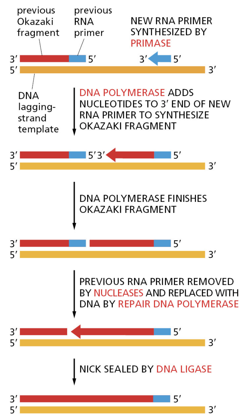 Figure 5-11.png